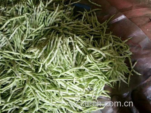 白不老豆角馅搅拌过程