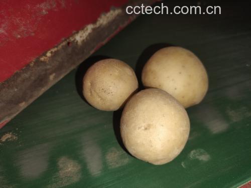 土豆与健康饮食