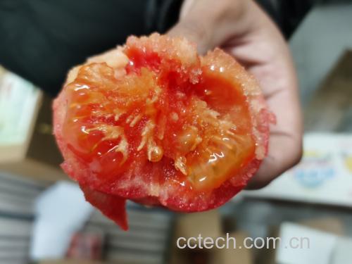 西红柿皮特写