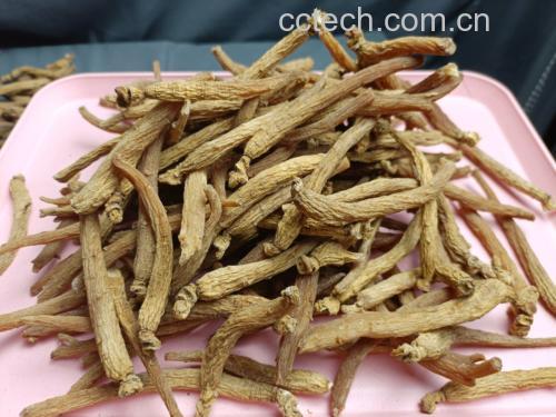 红参花旗参炖瘦肉的食材准备