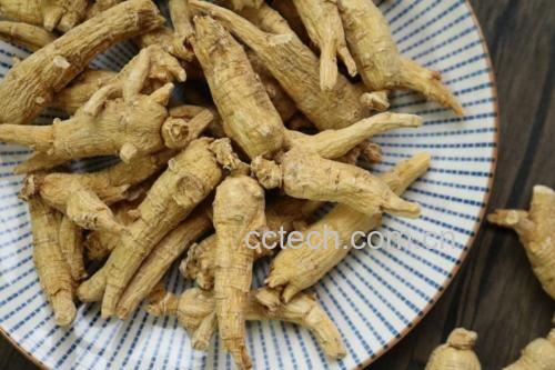 玻璃密封罐中分别装有西洋参片与干大枣,标签清晰标注产地与采收日期,背景为自然木纹桌面,体现农产品溯源与储存方式
