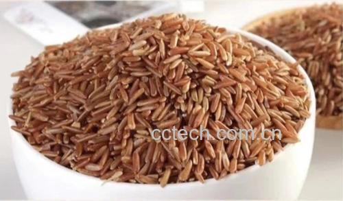 黑豆与玉米混合煮制前的原料特写