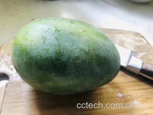 凯特芒与鹰嘴芒外观对比图