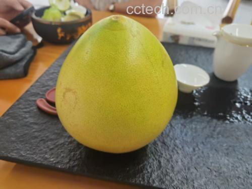 柚子创意料理拼盘