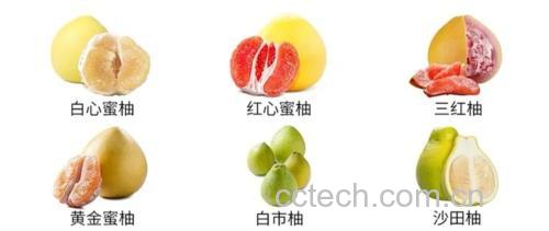 超市货架上的各类柚子陈列