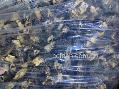 羊肚菌鲜品与干品对比图
