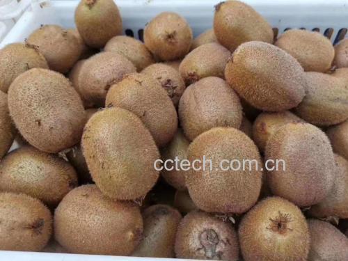 大豆制品营养标签示意图