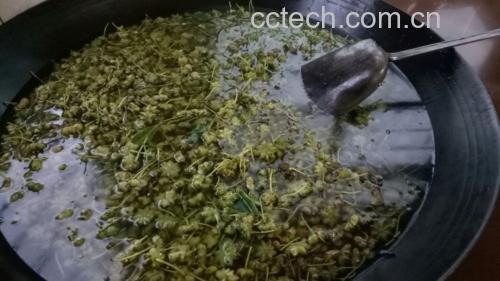 药材预泡图