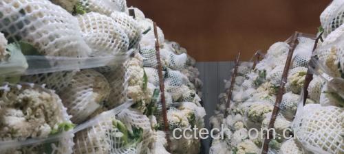 市场摊位上摆放着不同颜色的菜花，包括白色、浅紫色和全紫色品种，标签注明“有机种植”“无农残检测”
