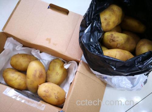 家庭厨房中用纸箱和黑色塑料袋包裹土豆进行避光储存的实景图