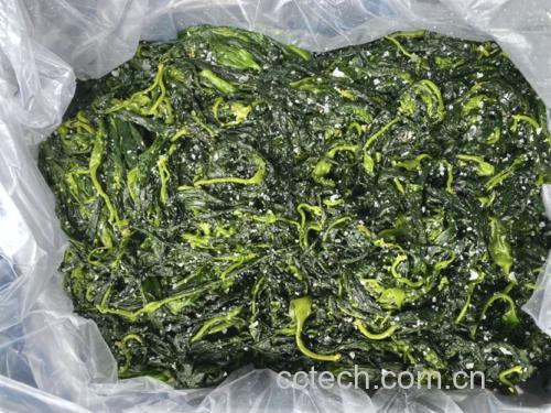 南瓜豆芽凉拌沙拉图