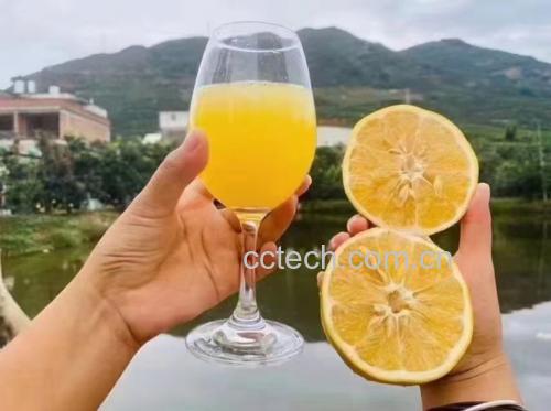 新鲜食材准备