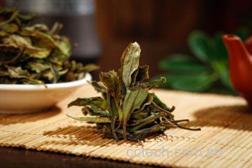 青提与茶具的搭配