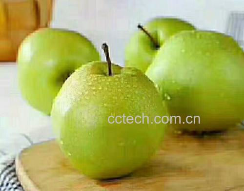 传统酸梨发酵缸与现代检测设备对比图
