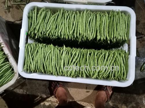 四季豆饺子馅料拌匀过程