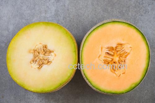哈密瓜内部果肉变质情况