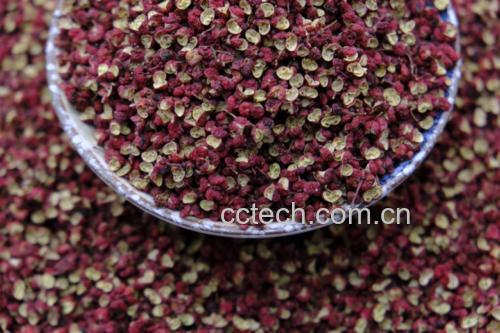 不同类型花椒对比图