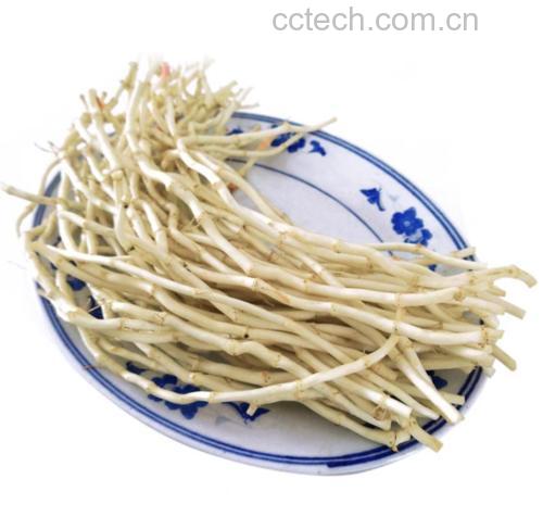 鱼腥草根清洗与切段过程