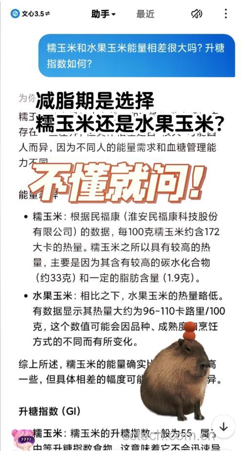 糯玉米与其他主食热量对比图