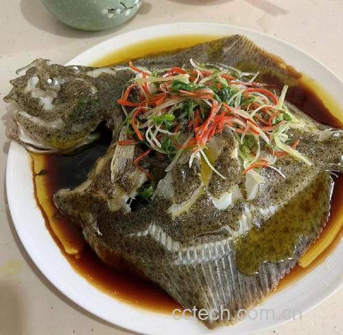 清蒸多宝鱼所需食材展示