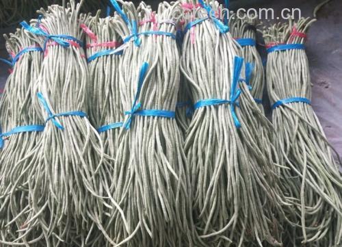 蒸白不老豆角成品图