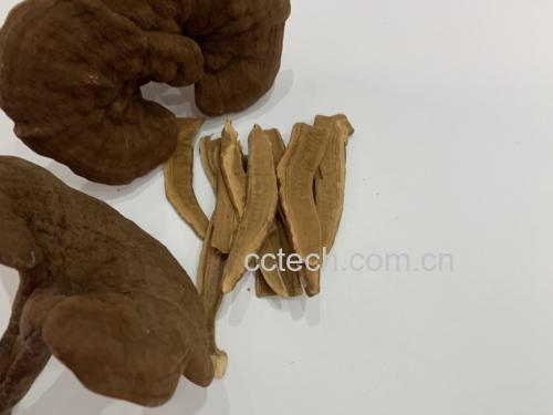 灵芝与竹灵芝产品展示图