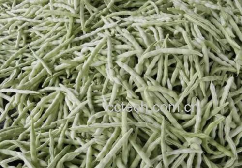 白不老芸豆的营养成分展示图