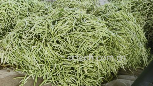 白不老豆角炒西红柿翻炒过程