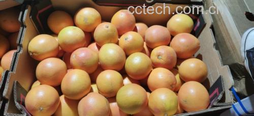 蜂蜜葡萄柚食材展示