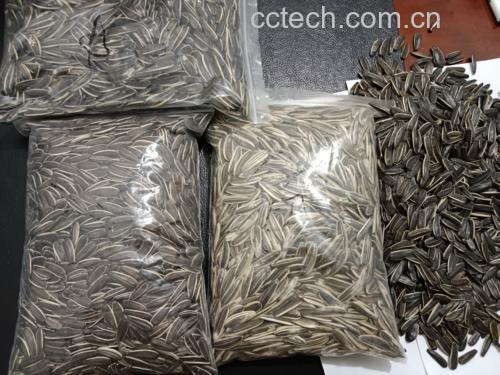 南瓜籽油胶囊产品展示图