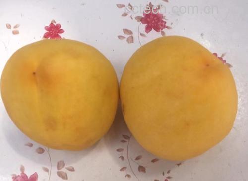 新鲜黄桃与油桃切块图