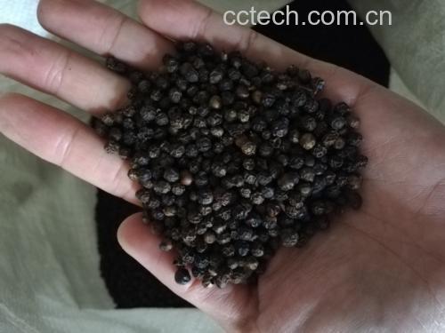 黑胡椒炒虾仁成品图