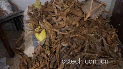 葛根水飞蓟籽油产品包装与成分标签示例