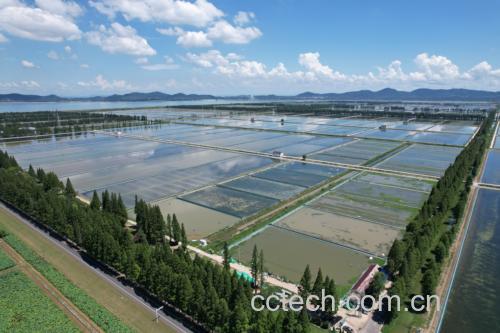 阳澄湖养殖基地