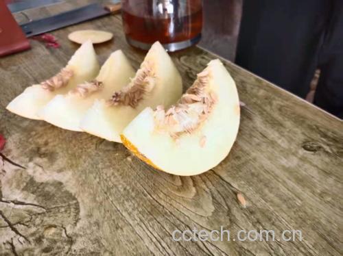 伊丽莎白甜瓜切片摆盘