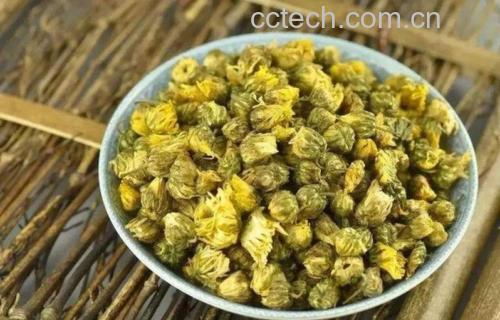 野菊花茶冲泡图