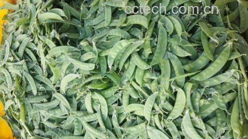 荷兰豆在菜市场中新鲜上市