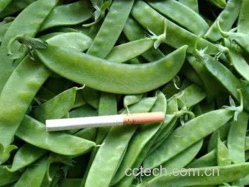 荷兰豆健康食用建议图