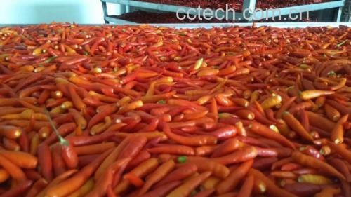 泡椒与猪皮原材料展示