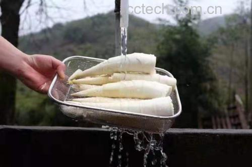雷笋煮熟后冷冻保存过程