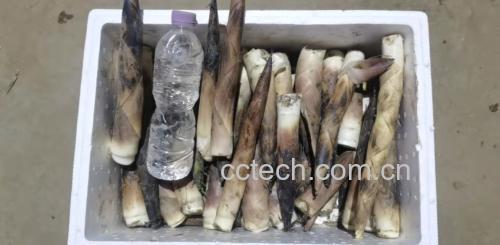 家庭厨房使用速冻泡椒竹笋丝的场景