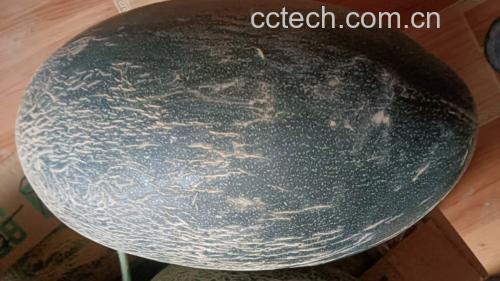 伽师瓜的特写展示