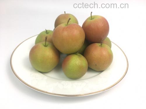 南果梨果盘