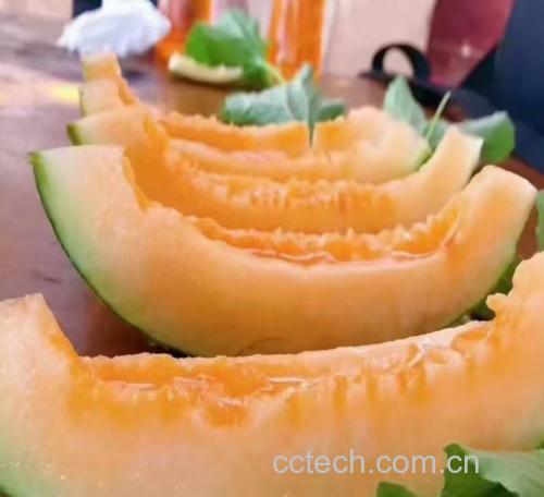哈密瓜水果沙拉制作示意图