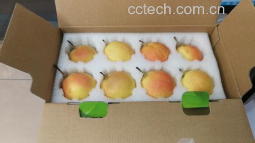 南果梨存放误区图解