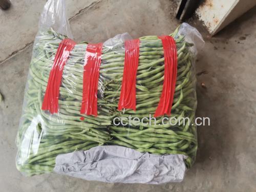 荷兰豆择豆去筋过程