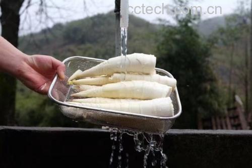 雷竹笋焯水过程图