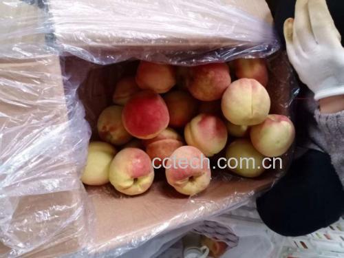 挑选新鲜中华寿桃