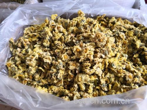 杭白菊茶饮