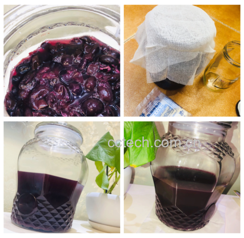 南果梨果酒制作流程